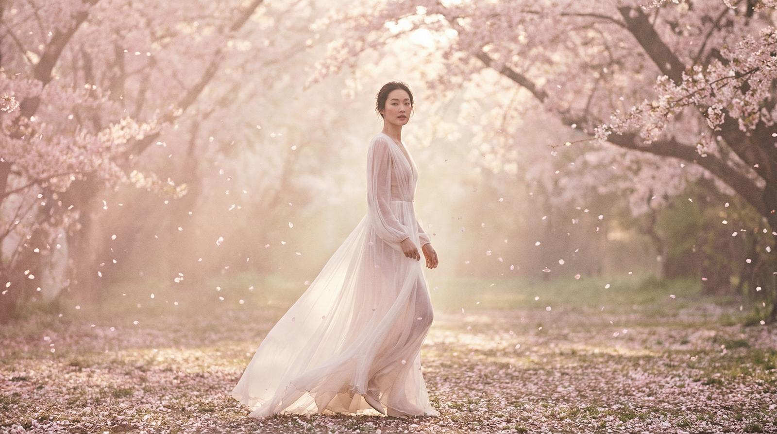 高清视频樱花季唯美视频